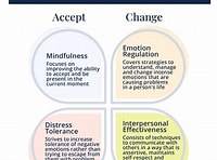 Steps of DBT